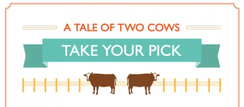 a-tale-of-two-cows-illustrated