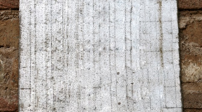 Echolalia and Scripting: Straddling the Border of Functional Language